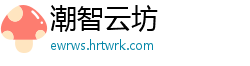 潮智云坊